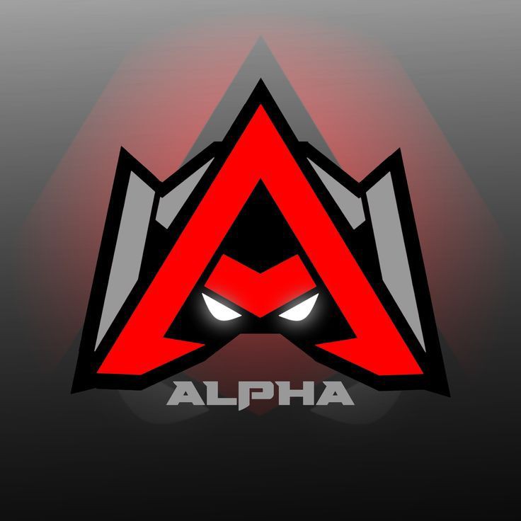 Team Banner
